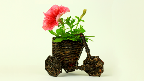 DIY Bicycle Flower Pot Holder 